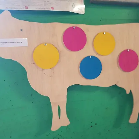 Ferien Im Gugger Apartament *