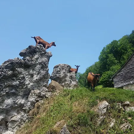 Ferien Im Gugger شقة *