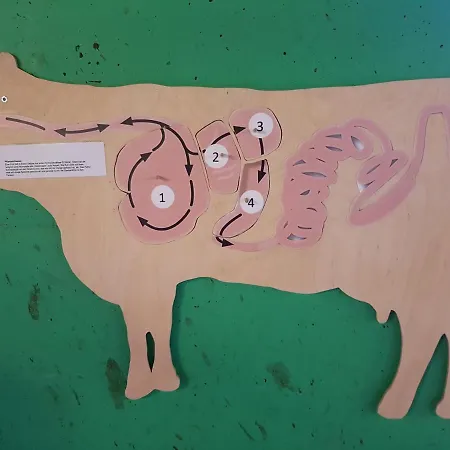 Ferien Im Gugger Apartament Nesslau