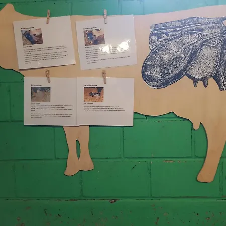 Ferien Im Gugger Apartament *