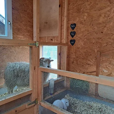 Ferien Im Gugger Apartament *