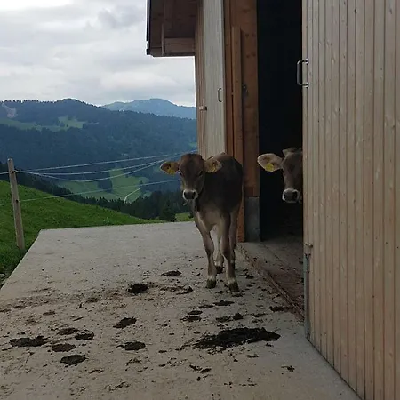 Ferien Im Gugger Nesslau