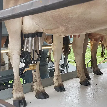 Ferien Im Gugger شقة Nesslau