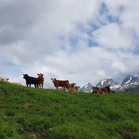 Ferien Im Gugger Apartament Nesslau