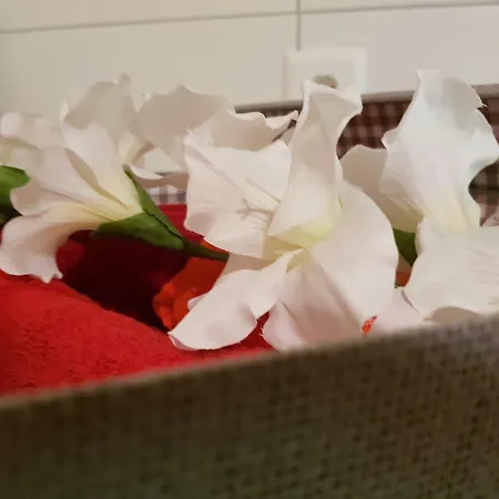 Ferien Im Gugger Apartament Nesslau