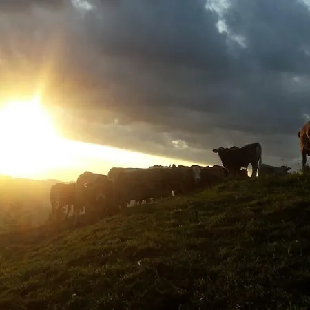 Ferien Im Gugger Nesslau