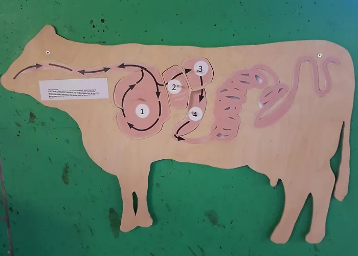 Ferien Im Gugger Appartement Nesslau