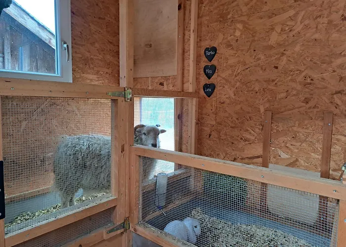 Ferien Im Gugger Appartement *