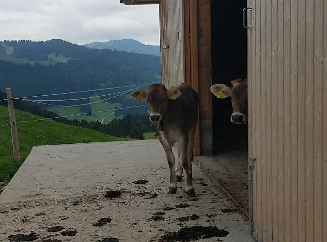 Ferien Im Gugger Nesslau