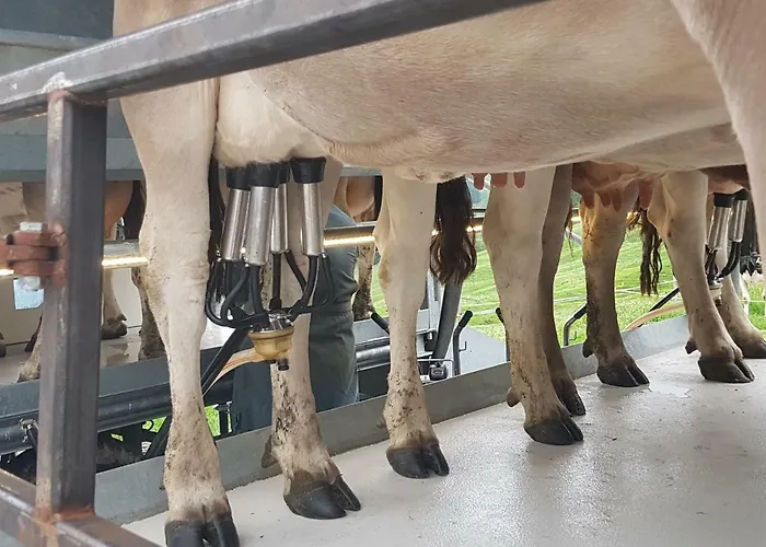 Ferien Im Gugger Appartement Nesslau