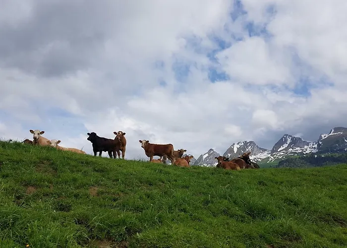Ferien Im Gugger Appartement Nesslau