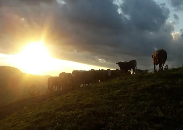 Ferien Im Gugger Nesslau