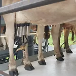 Ferien Im Gugger Appartement Nesslau