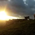 Ferien Im Gugger Nesslau