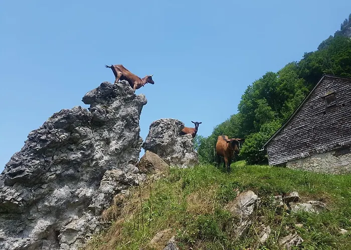 Ferien Im Gugger Apartmán *